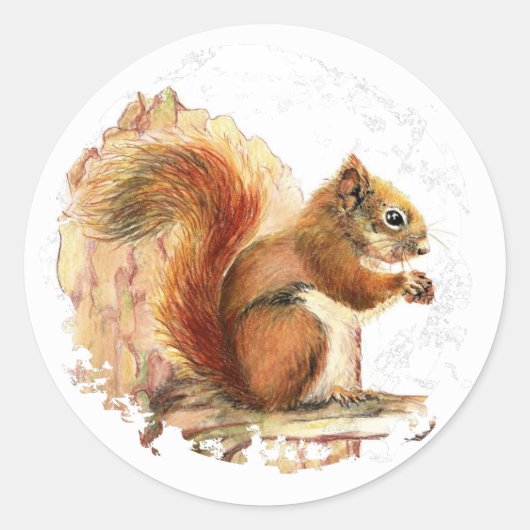 Sticker Rond Écureuil rouge mignon - Animal, Nature, Faune (Devant)