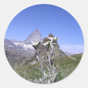 Sticker Rond Edelweiss et Matterhorn