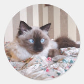 Sticker Rond Edith (Devant)