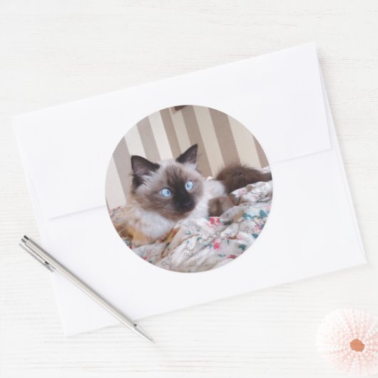 Sticker Rond Edith (Enveloppe)