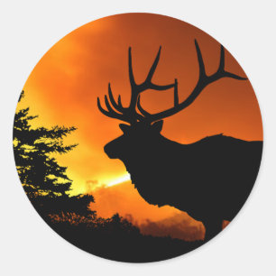 Sticker Rond Élans
