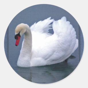 STICKER ROND ÉLÉGANCE SWAN