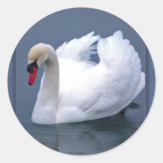 STICKER ROND ÉLÉGANCE SWAN (Devant)