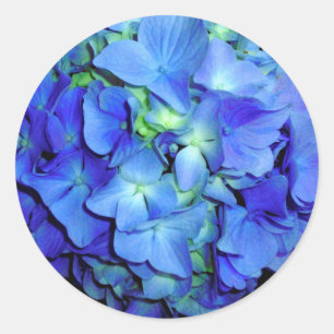 Sticker Rond Elégant bleu floral bleu rose hydrangée bleue