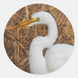 Sticker Rond Elegant Great Egret in the Reeds