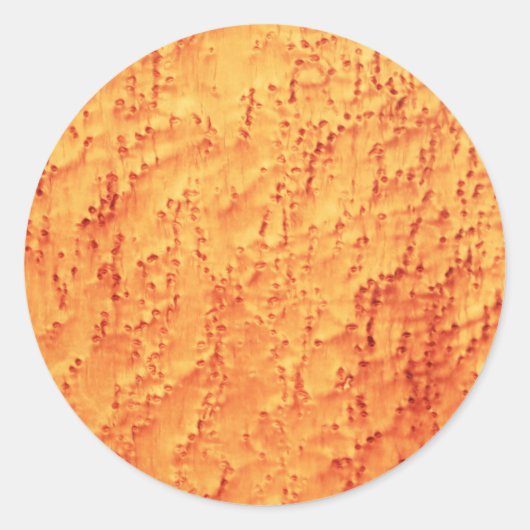 Sticker Rond Elégant Oiseau Maple Wood Grains Motifs (Devant)