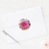 Sticker Rond Élégant Rose de jardin rose Floral (Enveloppe)