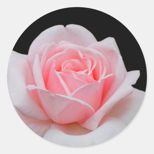 Sticker Rond Élégant rose rose florale (Devant)