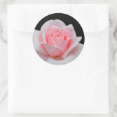 Sticker Rond Élégant rose rose florale (Sac)