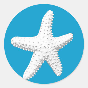 Sticker Rond Elégant Starfish Sea Star