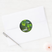 Sticker Rond Elegant Summer Swan (Enveloppe)