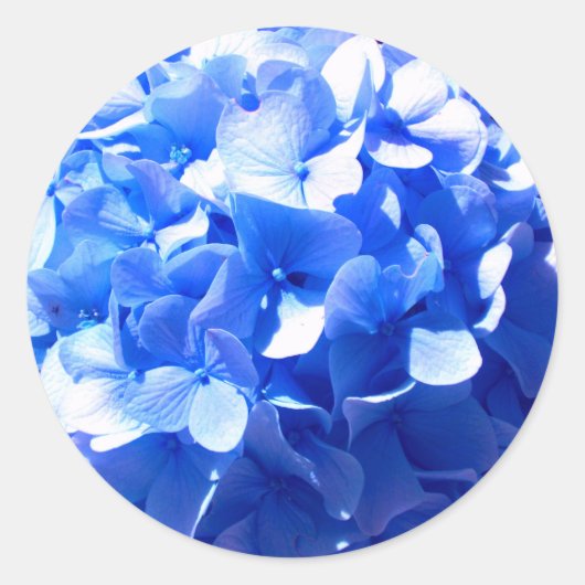 Sticker Rond ElégantCobalt bleu floral élégant hydrangeas (Devant)