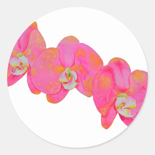 Sticker Rond Elégante aquarelle rose orchidées tropicale fleuri (Devant)