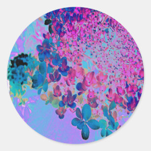 Sticker Rond Élégante Hydrangea Limelight Bleu foncé et Magenta