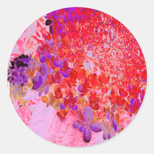 Sticker Rond Élégante Hydrangée violette et orange Limelight (Devant)