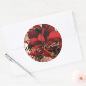 Sticker Rond Élégante Poinsettie de Noël Rouge (Enveloppe)
