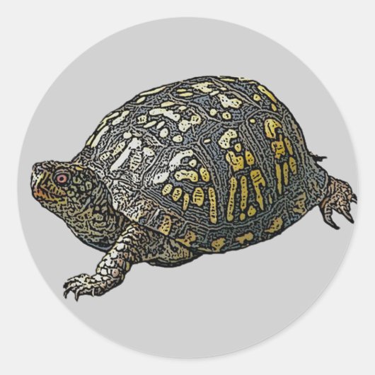 Sticker Rond Éléments de coordination de la tortue de boîte ori (Devant)