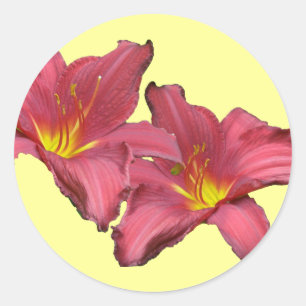Sticker Rond Éléments de coordination diurne rouge