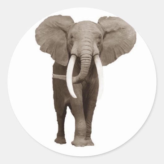 Sticker Rond Eléphant (Devant)
