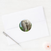 Sticker Rond Eléphant (Enveloppe)
