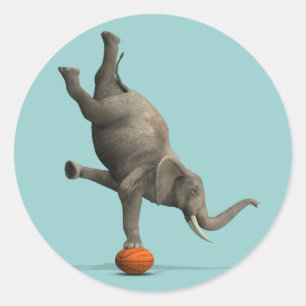 Sticker Rond Eléphant artistique