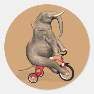 Sticker Rond Eléphant Gentil À Tricycle