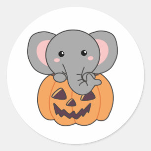 Sticker Rond Elephant In Pumkin Cute Elephant Happy Halloween