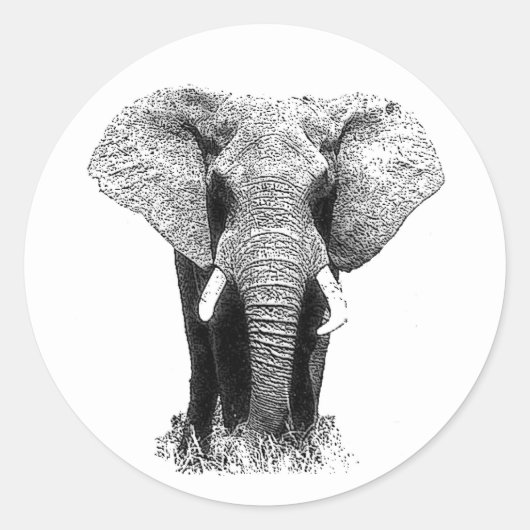 Sticker Rond Eléphant noir et blanc (Devant)