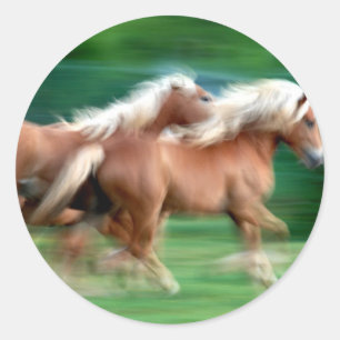 Sticker Rond Emballage de l'autocollant de chevaux de palomino