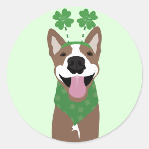 Sticker Rond Embrasse-moi Je suis Irlandais Brown chien vert