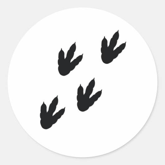 Sticker Rond empreintes de dinosaure (Devant)