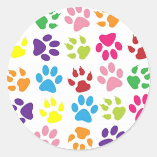 Sticker Rond empreintes de pattes