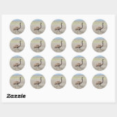 Sticker Rond emu stride (Feuille)