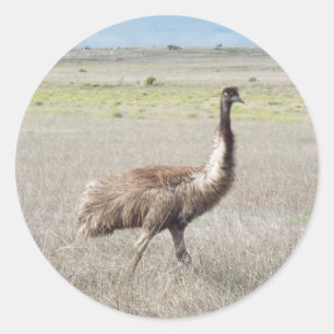 Sticker Rond emu stride