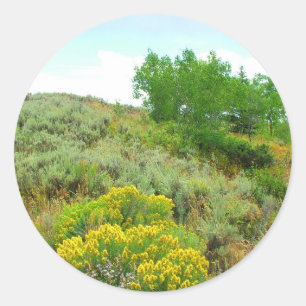 Sticker Rond En haut de la colline, parc national de Grand Teto