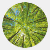 Sticker Rond En regardant à travers les feuilles d'arbres verts (Devant)
