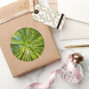 Sticker Rond En regardant à travers les feuilles d'arbres verts