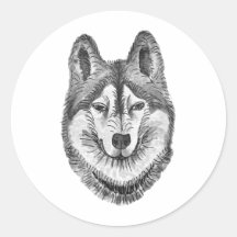 Encre noir & blanc & Aquarelle Husky sibérien