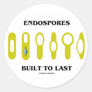 Sticker Rond Endospores Construites À Dernier (Attitude Bactéri
