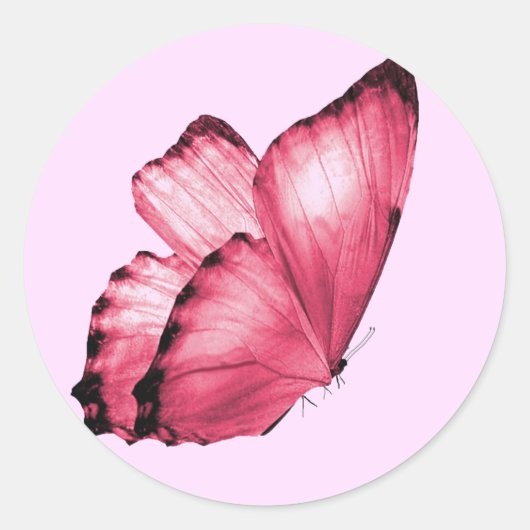 Sticker Rond Enveloppe ronde papillon rose (Devant)