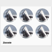 Sticker Rond Épaulard faisant une cabriole (Feuille)