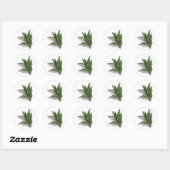 Sticker Rond Epazote (Feuille)
