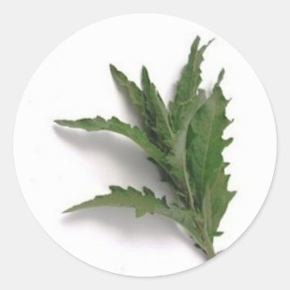 Sticker Rond Epazote