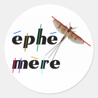 Sticker Rond éphémère instantané