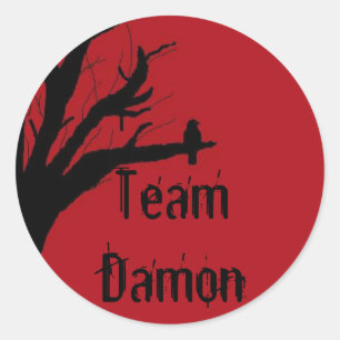 Sticker Rond Équipe Damon Vengeful Crow
