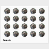 Sticker Rond Équipe de Chien Guide Labrador au Chocolat (Feuille)