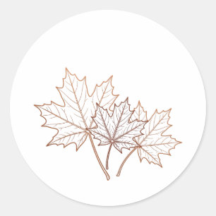 Sticker Rond Érable d'automne Botanique Ligne Artistique Graphi