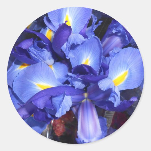 Sticker Rond Ermengarde (Devant)