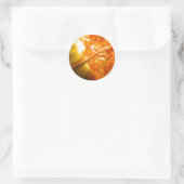 Sticker Rond Éruption solaire (Sac)