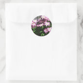 Sticker Rond Escalade Clematis Fleurs de printemps violettes (Sac)